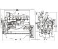 Дизельный двигатель ММЗ Д-260.4